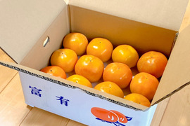 【贈答用】甘さ自慢の富有柿３kg（12個）　大山くろぼく土＆酵素発酵有機肥料育ち