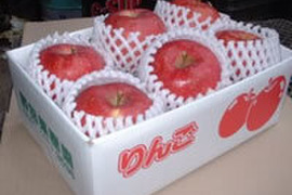 今目覚めた　シナノスイート2キロ　6玉　秋田県からすぐに食卓へ