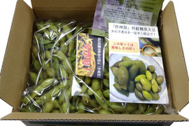 【10月出荷予約開始】大サヤ黒大豆枝豆２㎏お徳用（丹波種）１㎏では足りない、お二人で小分けという方にお勧め。 収獲翌日にお届け、土の香りが残るほどの鮮度をお楽しみください。