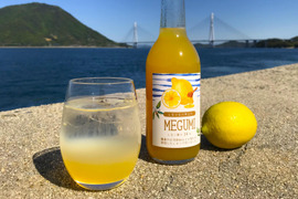 【無添加・農薬・化学肥料等不使用栽培】はちみつレモンシロップ　300ml×2本