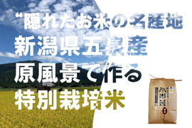 【令和７年 新米】 特別栽培米''隠れたお米の名産地''新潟県五泉産コシヒカリ100%「南郷米」玄米2kg×2袋