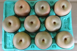【贈答用にも◎】幸水 3kg 3Lサイズ(9玉入)