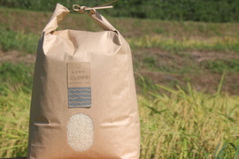 農薬不使用　有機肥料使用　コシヒカリ　10kg「2022年産」