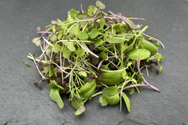 マイクロリーフmix(マイクロハーブ)300g