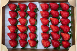 いちごの食べ比べセット　【要確認】1月から順次発送予定　　赤中赤中