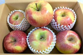 大玉希少品種！【美丘（みおか）】訳ありだけどたった６個で３kg超