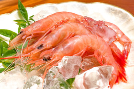 【春の生活応援！】特別価格！【大容量】トロけるような旨みと甘みをもつトロえび（中）1kg（40尾前後/500ｇ×2）