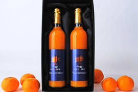 【母の日ギフト】 プレミアムみかんジュースギフトセット 500ml×2本