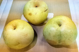 【家庭用!!お買い得!!】かおり 3kg (6玉前後)