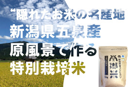 令和６年新米 特別栽培米''隠れたお米の名産地''新潟県五泉産コシヒカリ100%「南郷米」精米1kg×5袋