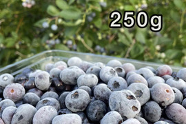 【道産自然栽培】冷凍ブルーベリー•250g（古参品種ミックス）※まとめ買い対応