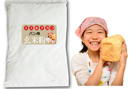 【お試し】ミズホチカラ パン用 生 米粉（玄米）600g 国産 特別栽培米の米粉 グルテンフリー 名水百選 岡山の高原産 ホームベーカリー用玄米パンレシピ付き