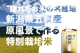 ＊特別栽培米【R5年産】''隠れたお米の名産地''新潟県五泉産コシヒカリ100%「南郷米」精米10kg