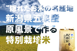 ＊特別栽培米【R5年産】''隠れたお米の名産地''新潟県五泉産コシヒカリ100%「南郷米」玄米20kg
