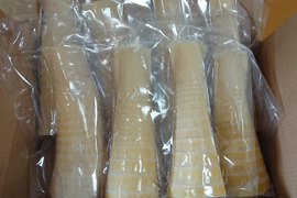 【ちょびさん専用】大釜湯がき筍(穂先）1.5Ｋｇ・湯がき筍3点セット