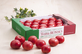 完熟トマロッソトマト　大箱(約4㎏)