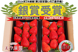 【全国いちご選手権銀賞受賞！】おいCベリー他『晴れの国岡山の樹上完熟いちご』2パック詰合せ(品種おまかせ)（2パック、約540g）