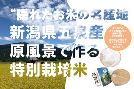 特別栽培米のパックごはん150g×6個 新潟県五泉産コシヒカリ100%