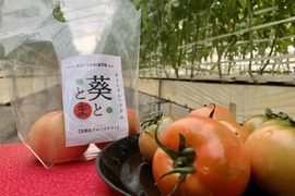 【大容量・お徳用・小分け】凝縮大玉塩フルーツトマト