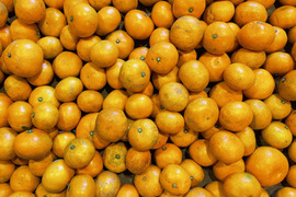 [訳あり]果皮も果肉やわらかジューシー甘味と程よい酸味の早生みかんサイズS S５㎏