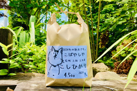 24年度産新米!! もっちもち!! 信州上田産コシヒカリ白米4.5kg【米ぬか付き】 おむすび　お弁当に!!　24年度産新米!!　令和6年農家直送