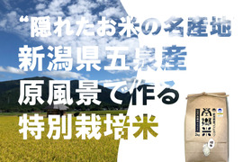 【令和７年 新米】 特別栽培米''隠れたお米の名産地''新潟県五泉産コシヒカリ100%「南郷米」精米2kg×3袋