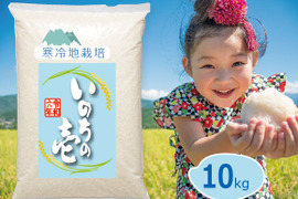 【令和6年 新米の予約】 寒冷地栽培  いのちの壱 白米 10kg （5㎏×2袋）岡山の雪国産