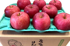 「おまたせっ💁‍♀️」葉とらずほのかフジ🍎家庭用約2.7Kg🍎青森県産　数量限定