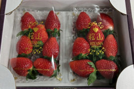 茨城県産いちご 2パック×１箱【ひたち姫】
