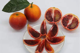 美と健康のフルーツ　ブラッドオレンジ（モロ）約20個