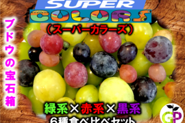 ブドウの宝石箱　ブドウ粒売りスーパーカラーズ(６種食べ比べ)　750g1P