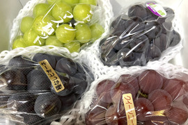 ぶどう詰め合わせ　4種箱込み3.3kg 楽天市場】ぶどう食べ比べセットの通販