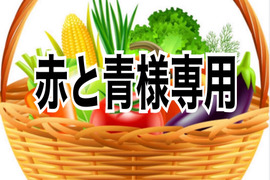 赤と青様専用