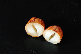 茹でておいしい！　味のよい半立系生落花生６００g　化学肥料・動物由来の肥料、農薬も除草剤も不使用です。
ちょっと小粒です。泥付きなので、洗ってから調理を！