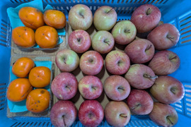 柿とリンゴの加工原料箱詰め