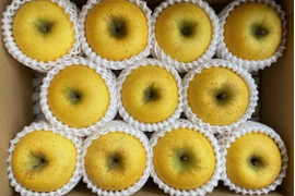 絶妙な酸味と甘み！岩手江刺産【シナノゴールド】家庭用