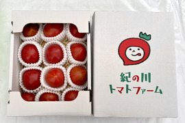 SALE❗️1981円🈹【3箱】衝撃の濃い味！トマトを超えた【ト・マーレ】罪深い美味しさ！800g3箱