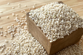 農薬化学肥料不使用『もちひかり』玄米３kg令和７年産　信州佐久穂町