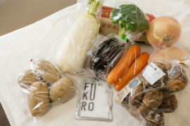 【素材を味わう】厳選蒸し野菜セット（お試し季節の塩付き）