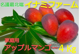 ★2026年予約開始★≪家庭用≫名護市最北端 イナミファームの家庭で楽しむ アップルマンゴー  ２ｋg×２箱セット