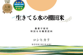 令和８年新米◆生きてる水の棚田米◆農薬・化学肥料不使用・生きてる湧き水で育ったお米 白米2kg