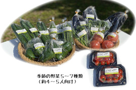 沖縄県産 季節の野菜セット（野菜5～7種類(4～5人向け））