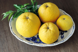 夏にさわやか果汁た～ぷり　イエローポメロ　8～9個入り