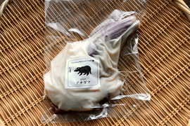 希少！✨「アナグマ肉【ウデ（骨付き）】450g」ブロック
フレンチで人気のジビエ！