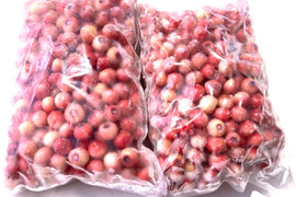 【加工用】冷凍ブルーベリー （フロリダローズ）2kg（1kg × 2袋）【ピンク色で完熟する希少品種】