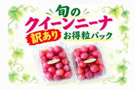 ✨️💕クイーンニーナ/粒💕✨️ 
　　訳あり粒✣ご家庭用　　　
　　　【450g程度粒２Ｐ/約900g位】