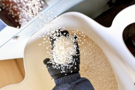 自家生産でこだわりあり！岐阜 ハツシモ　令和7年産  30キロ　白米🍚