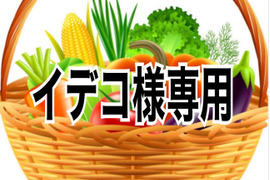 【イデコ様専用】野菜セット
