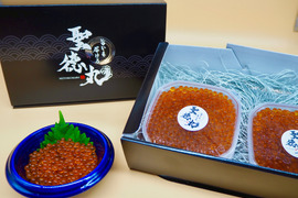 ”鮮度が違う”濃厚な味わい！朝獲れ鮭のいくら醤油漬け
