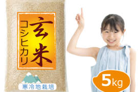 【令和7年 新米予約】特別栽培米 コシヒカリ 5kg　玄米 岡山の雪国産